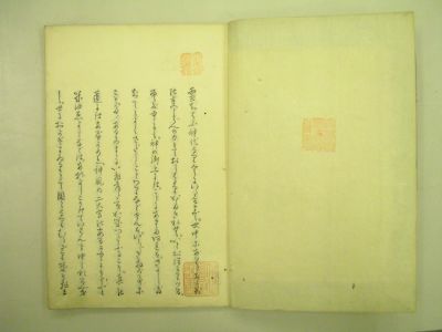 画像No2