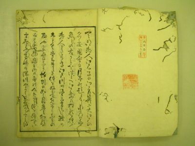 画像No2