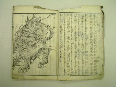 画像No3
