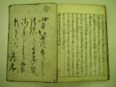 画像No5
