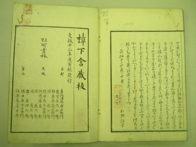 画像No5
