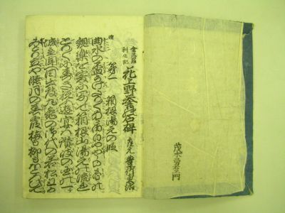 画像No2