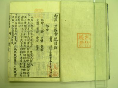 画像No21
