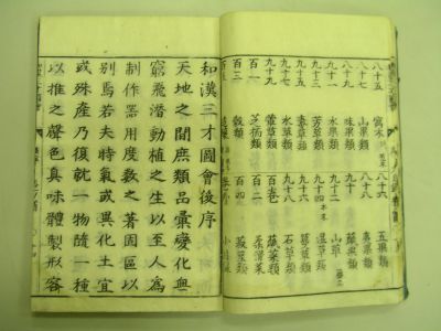 画像No9