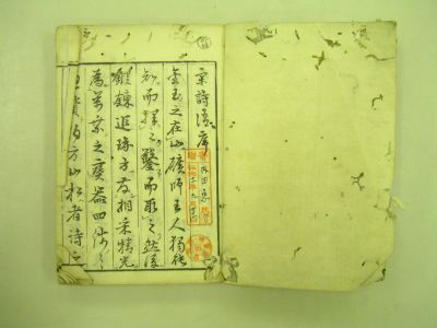 画像No2
